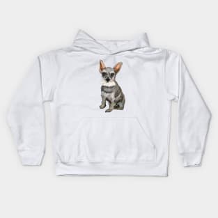 Cute Schnauzer Dog Kids Hoodie